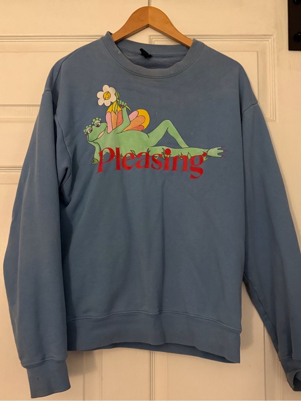 'Pleasing' Frog Crewneck Sweatshirt - Blue